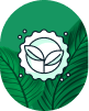Kratom Green 2025